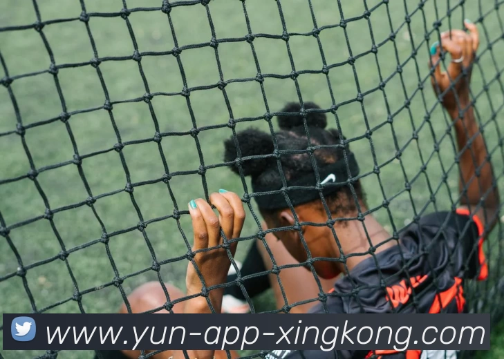 星空体育官网平台生态图